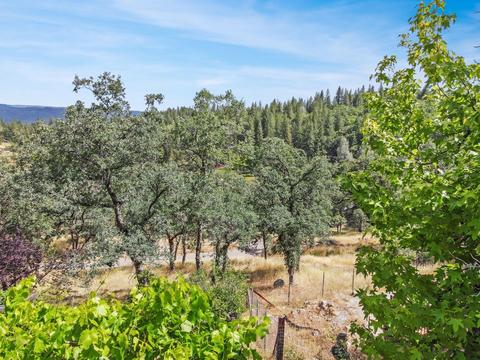 4281 Kruk Trl, Placerville, CA 95667 photo 8