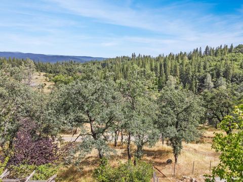 4281 Kruk Trl, Placerville, CA 95667 photo 21