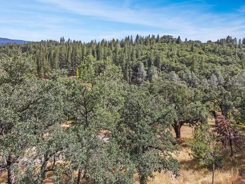 4281 Kruk Trl, Placerville, CA 95667 photo 23