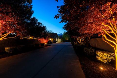 22111 E River Rd, Escalon, CA 95320 photo 4