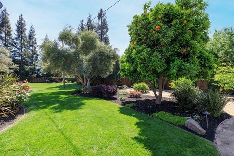 22111 E River Rd, Escalon, CA 95320 photo 60