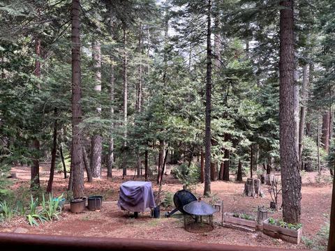 35545 Culberson Rd, Alta, CA 95701 photo 20