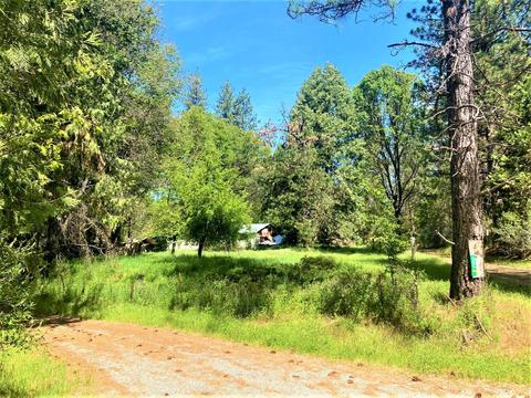 491 Winton Rd, West Point, CA 95255 photo 2