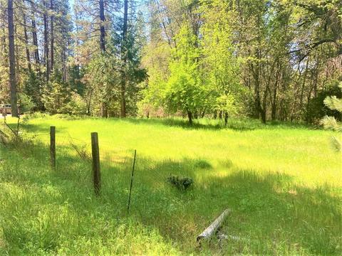 491 Winton Rd, West Point, CA 95255 photo 5