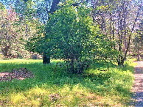 491 Winton Rd, West Point, CA 95255 photo 9