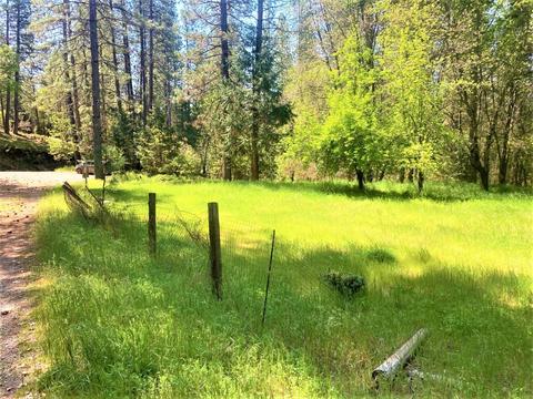 491 Winton Rd, West Point, CA 95255 photo 6