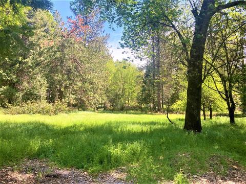 491 Winton Rd, West Point, CA 95255 photo 8