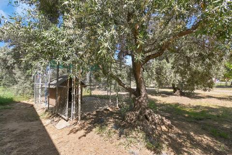 3850 Toomes Ave, Corning, CA 96021 photo 31