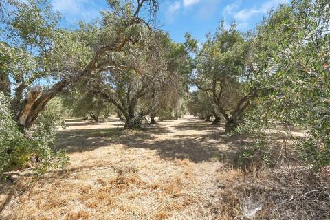 3850 Toomes Ave, Corning, CA 96021 photo 49