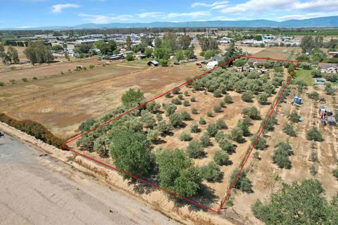 3850 Toomes Ave, Corning, CA 96021 photo 57