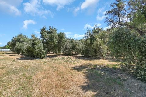 3850 Toomes Ave, Corning, CA 96021 photo 47