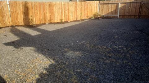 1407 Scenic Dr, Modesto, CA 95355 photo 19