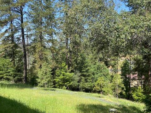 2681 Brown Bear Ct, Cool, CA 95614 photo 4