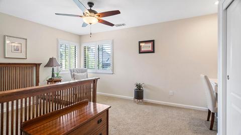 1179 Spring Creek Dr, Ripon, CA 95366 photo 46