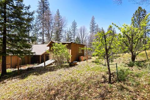 329 Barney, West Point, CA 95255 photo 55