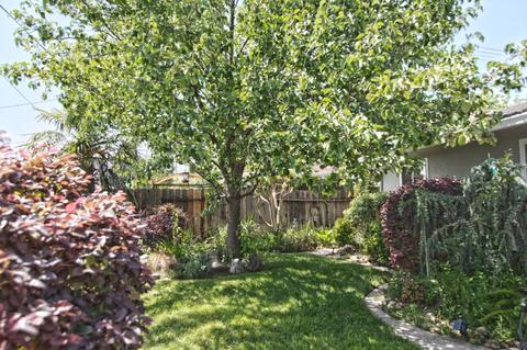 2208 W Walnut, Lodi, CA 95242 photo 44