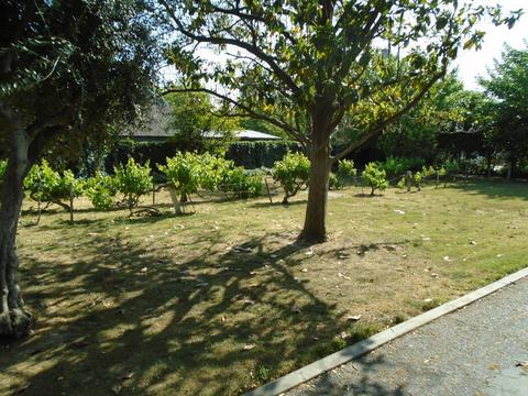 2537 River Rd, Modesto, CA 95351 photo 61