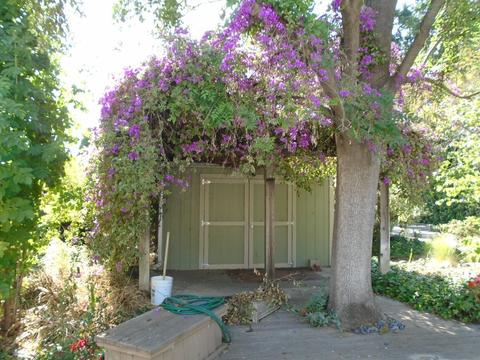 2537 River Rd, Modesto, CA 95351 photo 54