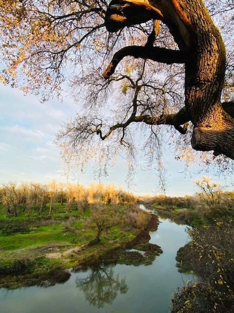 2537 River Rd, Modesto, CA 95351 photo 21
