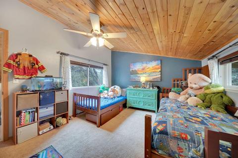 12495 Eldel Rd, Pine Grove, CA 95665 photo 41