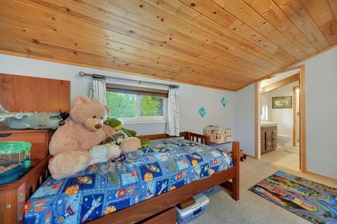 12495 Eldel Rd, Pine Grove, CA 95665 photo 42