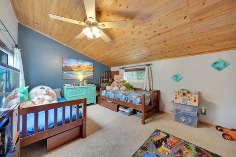 12495 Eldel Rd, Pine Grove, CA 95665 photo 40