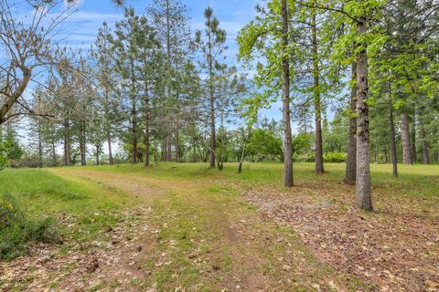 3840 Thorson, Placerville, CA 95667 photo 25