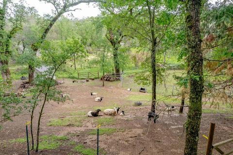 4345 Stevens Ct, Placerville, CA 95667 photo 55