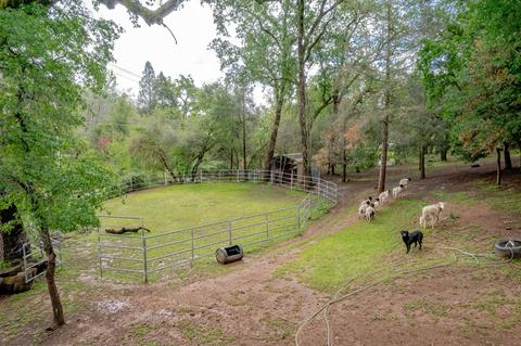 4345 Stevens Ct, Placerville, CA 95667 photo 60