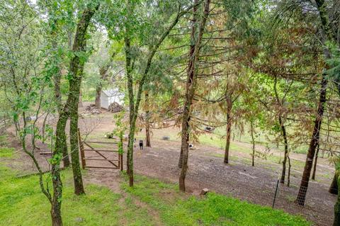4345 Stevens Ct, Placerville, CA 95667 photo 56