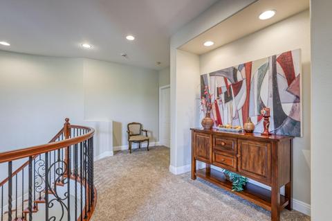 320 Marsh Hawk Dr, Folsom, CA 95630 photo 48