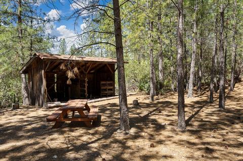 1010 Madrone Ln, Placerville, CA 95667 photo 47