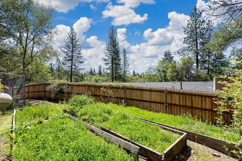 1010 Madrone Ln, Placerville, CA 95667 photo 37