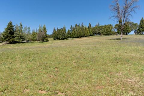 3561 Pleasant Valley Rd, Placerville, CA 95667 photo 32