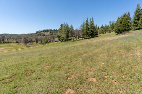 3561 Pleasant Valley Rd, Placerville, CA 95667 photo 30