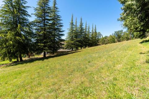 3561 Pleasant Valley Rd, Placerville, CA 95667 photo 29