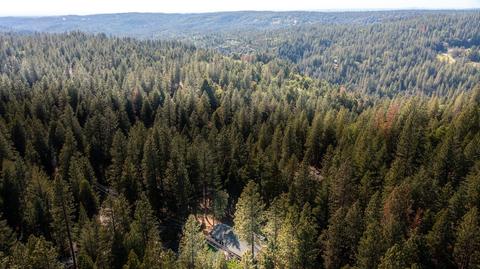 26037 Sugar Pine Dr, Pioneer, CA 95666 photo 77