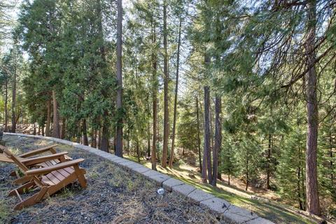 26037 Sugar Pine Dr, Pioneer, CA 95666 photo 67