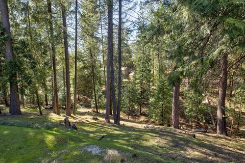 26037 Sugar Pine Dr, Pioneer, CA 95666 photo 68