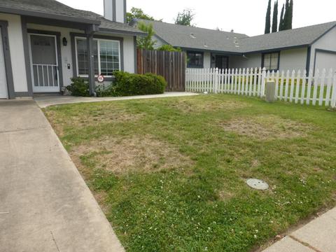 5636 Vall Ct, Carmichael, CA 95608 photo 3