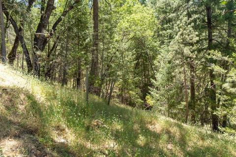 1820 Cedar Oak Rd, Placerville, CA 95667 photo 26