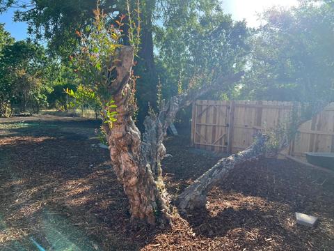 14214 5th St, Yolo, CA 95697 photo 15