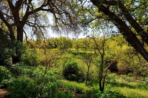 413 The Cv, Modesto, CA 95355 photo 41
