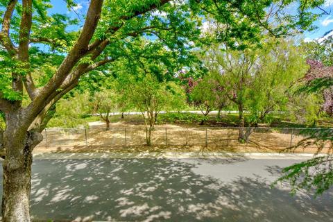 1914 El Paso Ave #4, Davis, CA 95618 photo 18