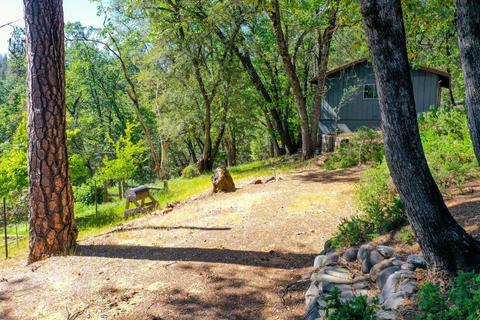 11938 E Brookview Dr, Grass Valley, CA 95945 photo 88