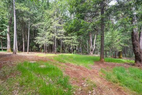 23005 Foresthill Rd, Foresthill, CA 95631 photo 6