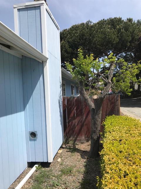 1133 Rousch Ave, Seaside, CA 93955 photo 39