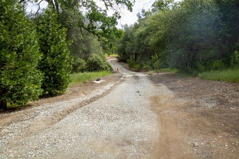 7785 Moore Dr, Angels Camp, CA 95222 photo 62