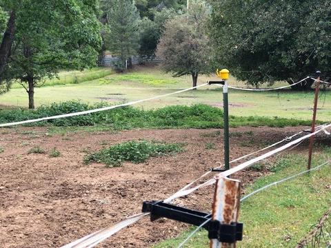 7043 Railroad Flat Rd, Mountain Ranch, CA 95246 photo 7