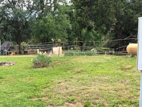 7043 Railroad Flat Rd, Mountain Ranch, CA 95246 photo 8